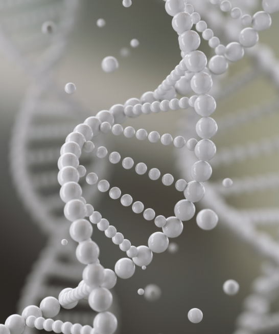 ��Ŭ���� �ٱ⼼��