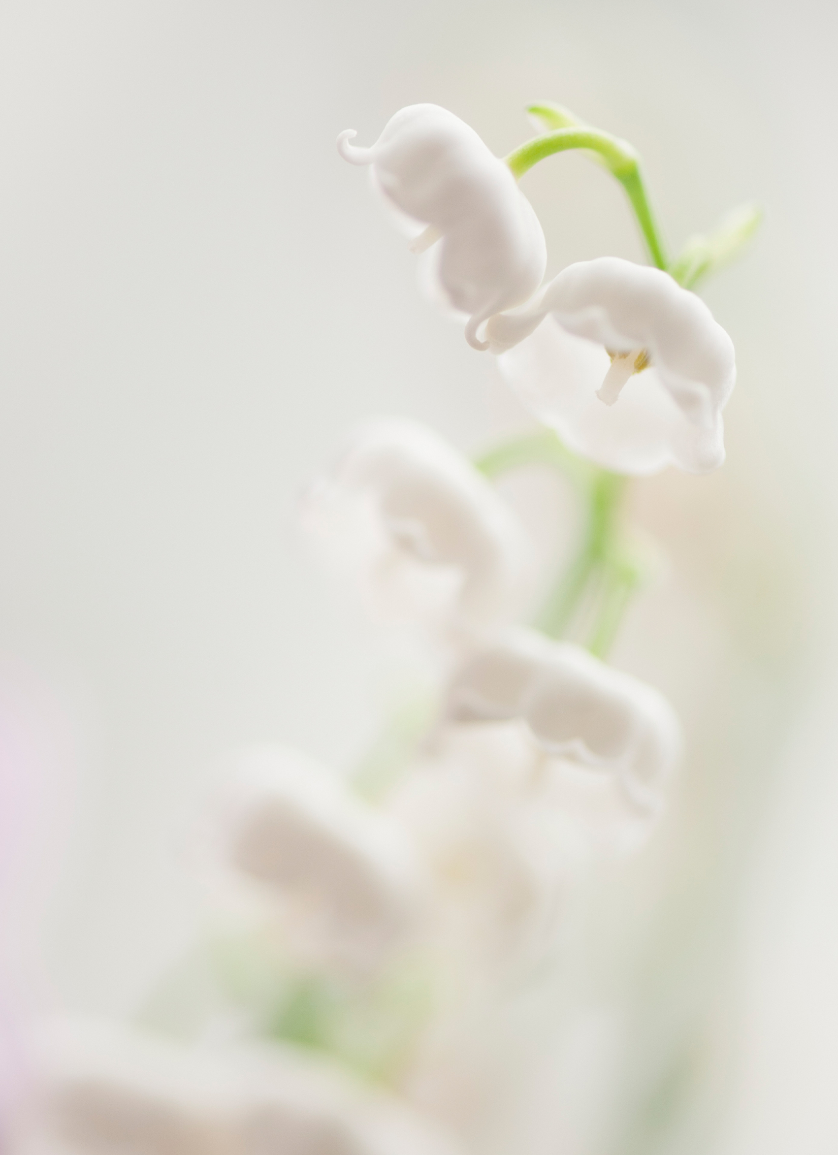 Na ����� Ŭ����